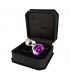 Plug XS con Cristal lila 5.7 cm