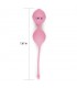 Bolas Kegel con Peso iWhizz Luna Rosa
