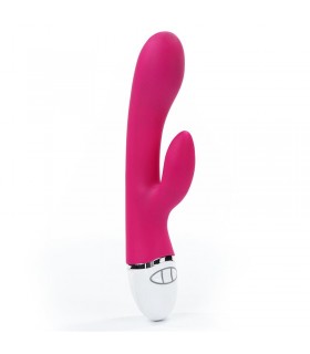 Vibrador Dreamer USB Rose Red