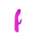 Vibrador con Succión Desirable Flirt