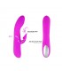 Vibrador con Succión Desirable Flirt