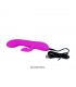 Vibrador con Succión Desirable Flirt