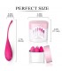 Set 6 Bolas Kegel Femmefit
