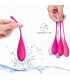 Set 6 Bolas Kegel Femmefit