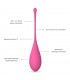 Set 6 Bolas Kegel Femmefit