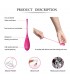 Set 6 Bolas Kegel Femmefit