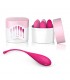Set 6 Bolas Kegel Femmefit