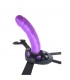 Arnes y Dildo Harness and Probe