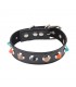 Collar con Puas 46.5 cm