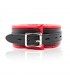 Collar con Correa de Metal e Interior Acolchado Negro/Rojo