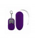 Huevo Vibrador con Control Remoto Dark Purple
