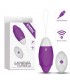 Huevo Vibrador iJoy Control Remoto USB Púrpura