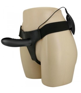 ARNES MYRON VIBRACIÓN