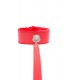 COLLAR+CORREA ACOLCHADO