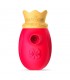 SUCCIONADOR QUEENRED  USB