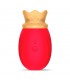 SUCCIONADOR QUEENRED  USB