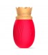 SUCCIONADOR QUEENRED  USB