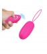Selkie Huevo Vibrador con Control Remoto