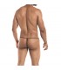 Tanga G-String Provocative Dollar