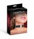 COLLAR CORAZON CINDERELLA