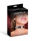COLLAR CORAZON PEDRERIA CINDERELLA